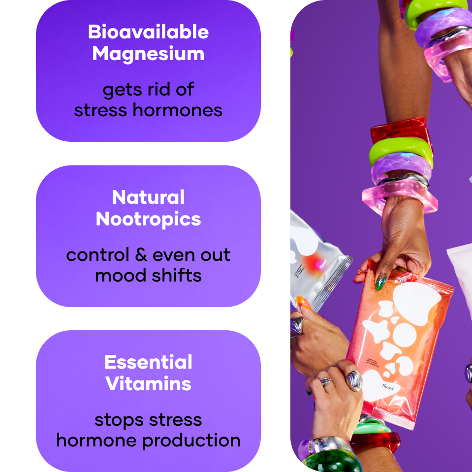 Nootropic Holiday Bundle
