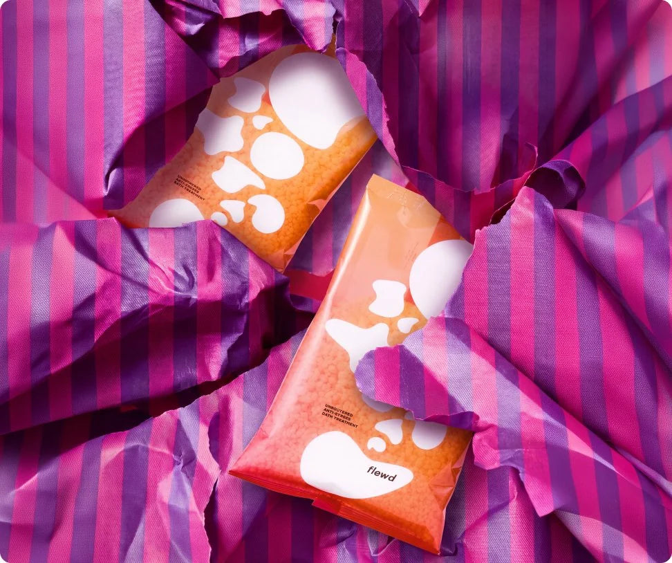black friday bundle